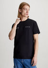 CAMISETA CALVIN KLEIN BIG BOX LOGO HOMBRE