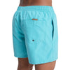 BAÑADOR QUIKSILVER EVERYDAY 15 HOMBRE