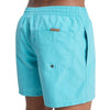 BAÑADOR QUIKSILVER EVERYDAY 15 HOMBRE