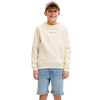 BERMUDA JACK&JONES JJIRICK JUNIOR