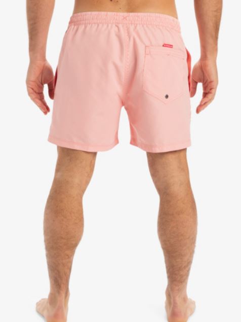 BAÑADOR QUIKSILVER DELUXE 15 HOMBRE