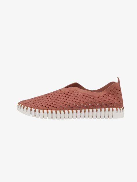 ZAPATILLA ILSE JACOBSEN TULIP 3373 MUJER