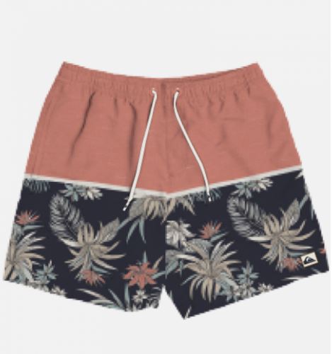 BAÑADOR QUIKSILVER LIFEONREEF HOMBRE