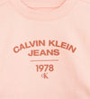 JERSEY CALVIN KLEIN VARSITY LOGO MUJER