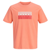 CAMISETA JACK&JONES JCOFUSION JUNIOR