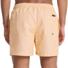 BAÑADOR QUIKSILVER DELUXE 15 HOMBRE
