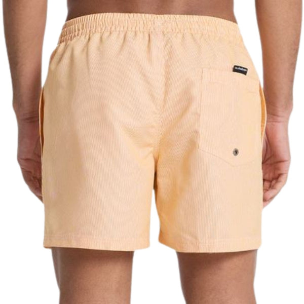 BAÑADOR QUIKSILVER DELUXE 15 HOMBRE