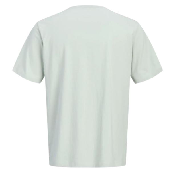 CAMISETA JACK&JONES JCOETERNA JUNIOR