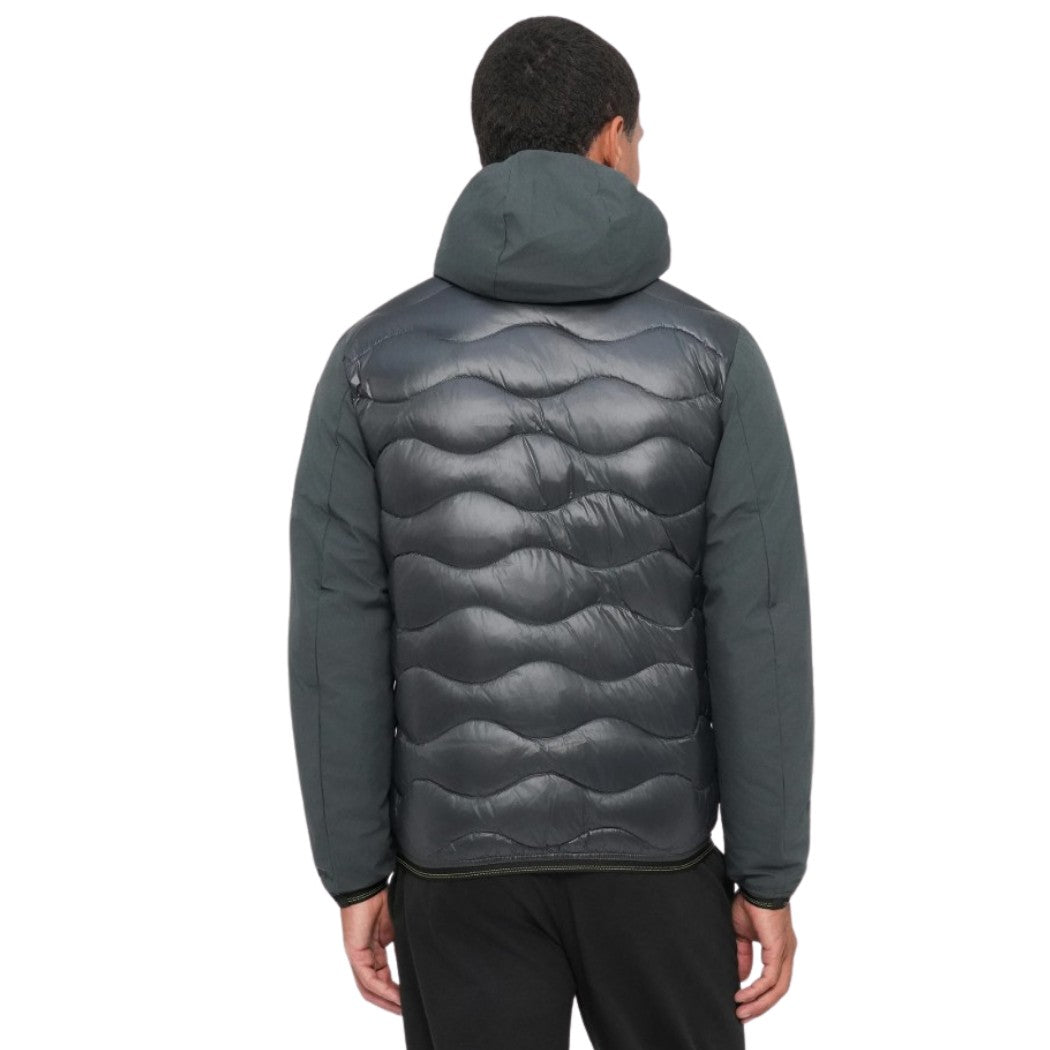 CHAQUETA BLAUER CORTA PLUMA/ALBERT HOMBRE