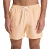 BAÑADOR QUIKSILVER DELUXE 15 HOMBRE