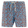 BAÑADOR LIGHT ING MIC SARDINE SAMBAR HOMBRE