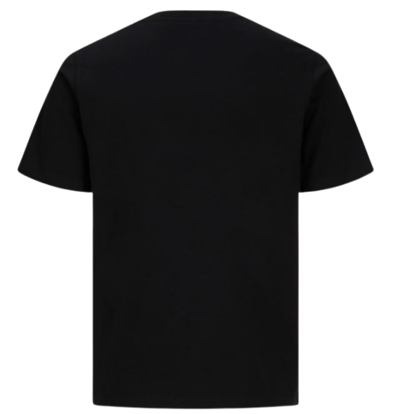 CAMISETA JACK&JONES JCOBREEZE HOMBRE