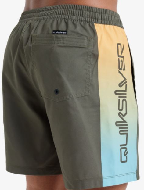 BAÑADOR QUIKSILVER EVERYDAY HOMBRE