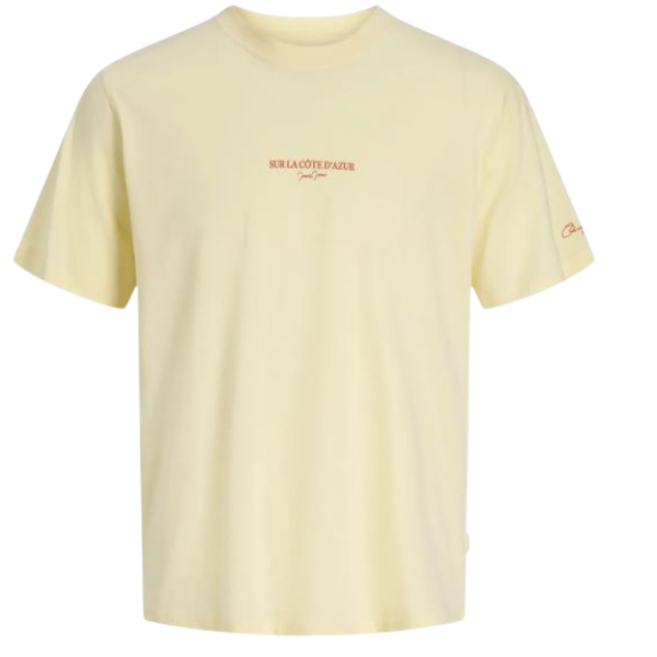 CAMISETA JACK&JONES JORHYERES JUNIOR