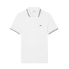 POLO LACOSTE COL BORD-COTES HOMBRE