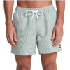 BAÑADOR QUIKSILVER DELUXE 15 HOMBRE