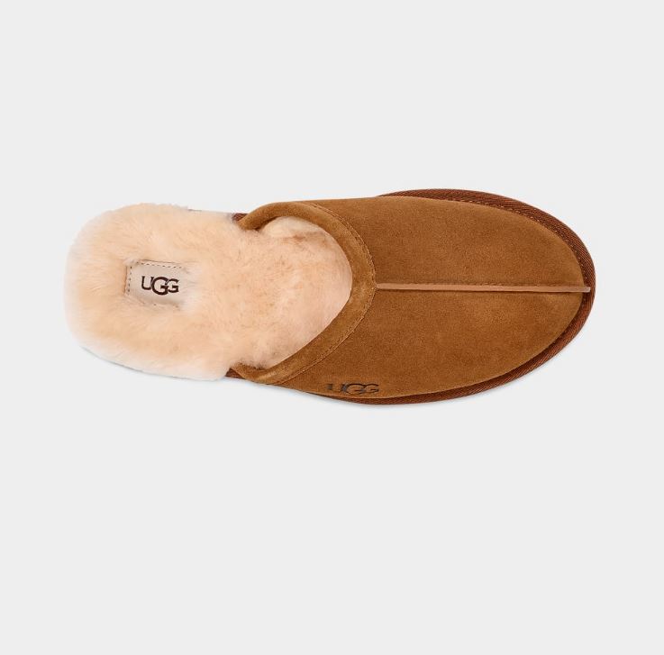 ZAPATILLA UGG SCUFF  HOMBRE