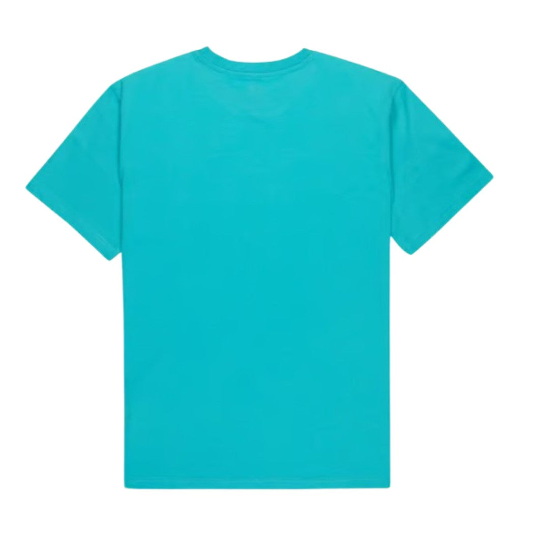 CAMISETA QUIKSILVER BASICSCREENSSYM HOMBRE