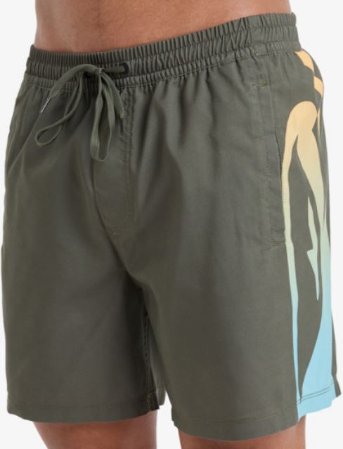 BAÑADOR QUIKSILVER EVERYDAY HOMBRE