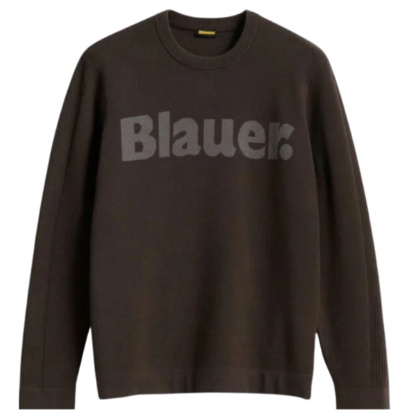 JERSEY BLAUER ALLEYNE HOMBRE