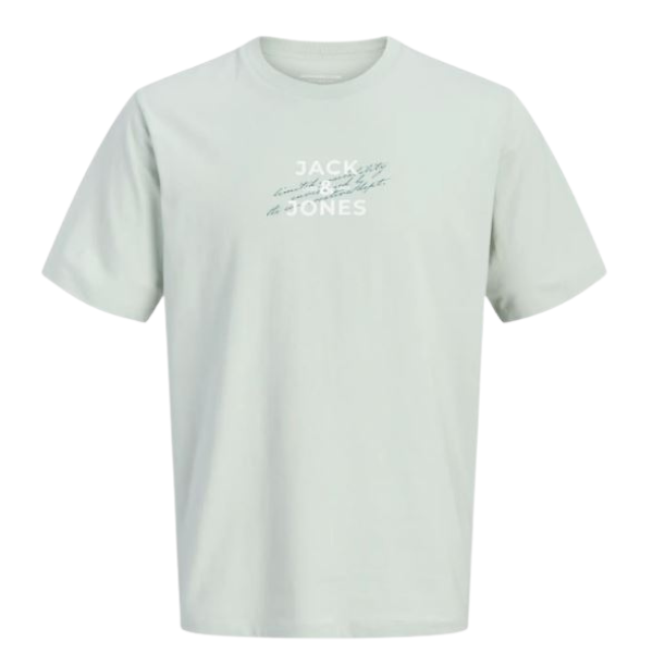 CAMISETA JACK&JONES JCOETERNA JUNIOR