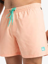 BAÑADOR QUIKSILVER SOLID HOMBRE