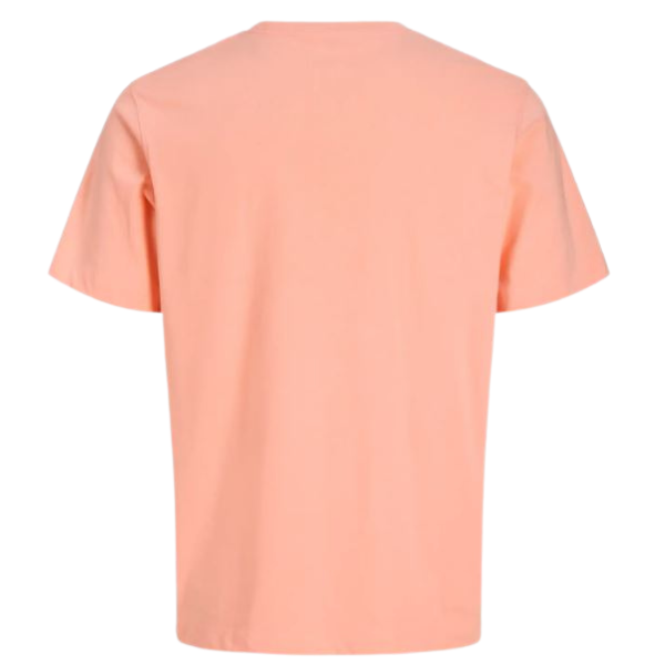 CAMISETA JACK&JONES JORMONTAUK HOMBRE