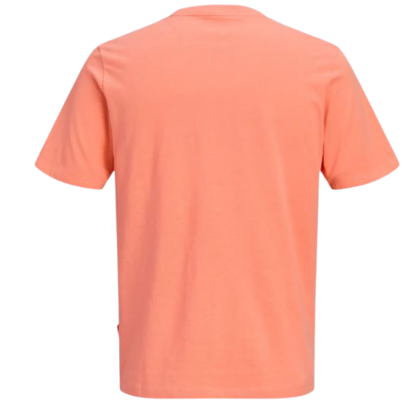 CAMISETA JACK&JONES JCOFUSION JUNIOR