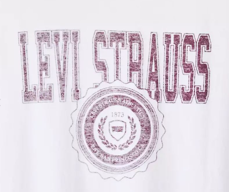 CAMISETA LEVI'S® RELAXED FIT CIRCLE HOMBRE