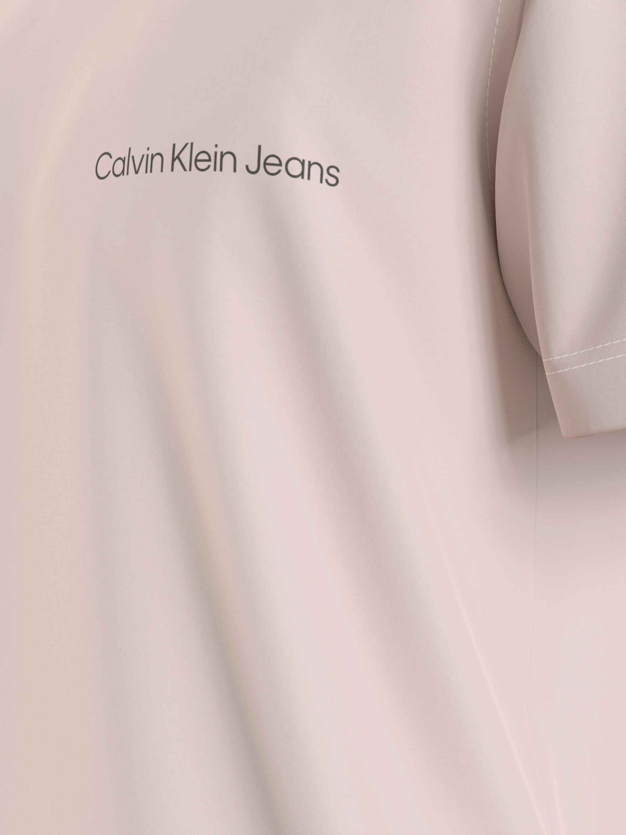 CAMISETA CALVIN KLEIN INSTITUTIONAL HOMBRE