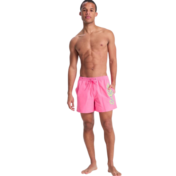 BAÑADOR QUIKSILVER EVD MALIBU HOMBRE