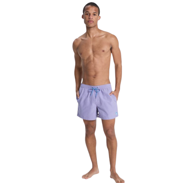 BAÑADOR QUIKSILVER EVERYDAY 15 HOMBRE