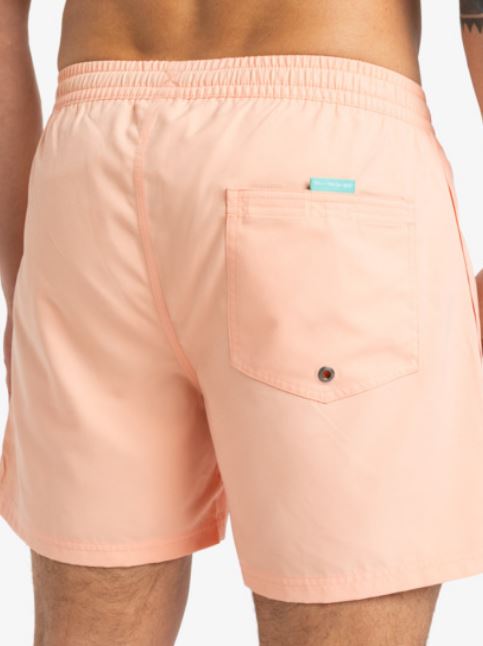 BAÑADOR QUIKSILVER SOLID HOMBRE