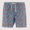 BAÑADOR LIGHT ING MIC SARDINE SAMBAR HOMBRE