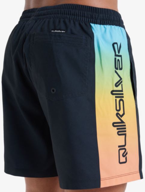 BAÑADOR QUIKSILVER EVERYDAY HOMBRE