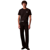 CAMISETA CALVIN KLEIN BADGE 30S HOMBRE