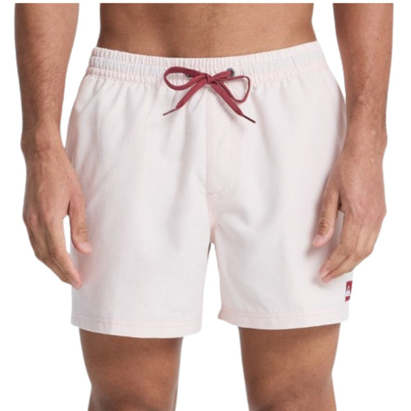 BAÑADOR QUIKSILVER EVERYDAY 15 HOMBRE