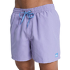 BAÑADOR QUIKSILVER EVERYDAY 15 HOMBRE