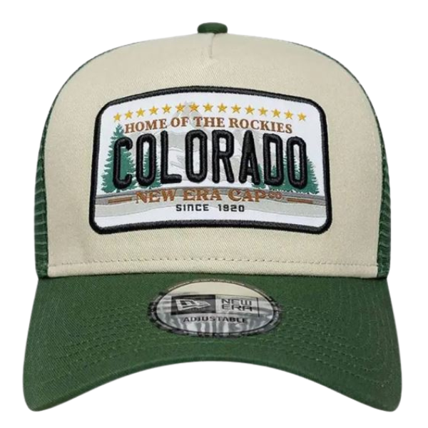GORRA NEW ERA NONE NE LICENCE PLATE HOMBRE