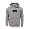 SUDADERA LEVI'S® RELAXED GRAPHIC GREY HOMBRE